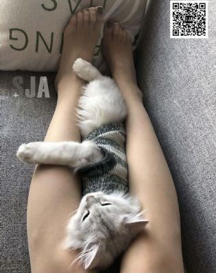 小泽玛利亚在线