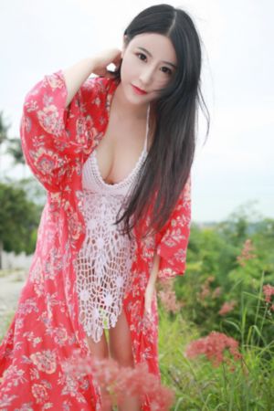 秘密入侵 电视剧