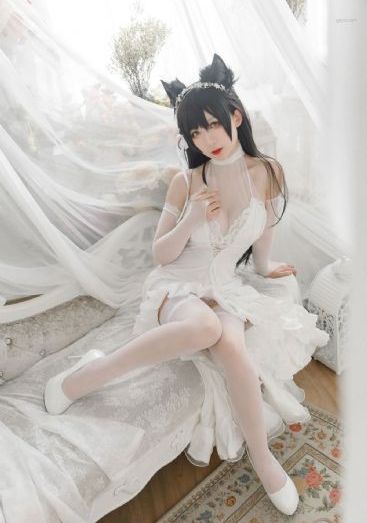 人人入人人爱
