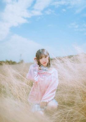 百万朵玫瑰